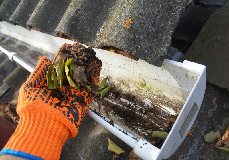 Clogged Gutter Clearing in Baltimore, MD