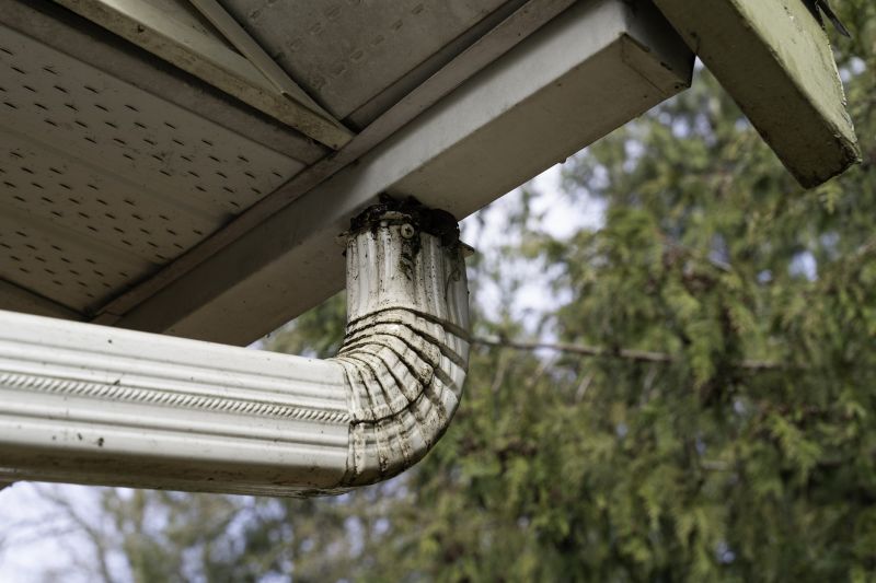 Downspout Blockage Removal in Arvada, CO