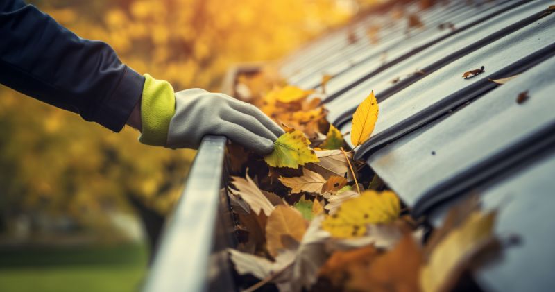 Autumn Cleaning