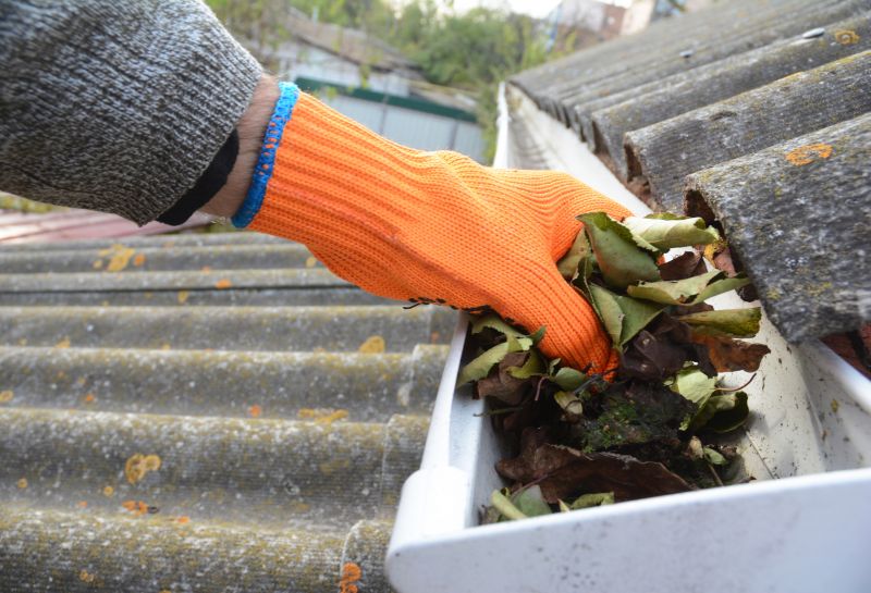 Gutter Leaf Clearing in Fredericksburg, VA