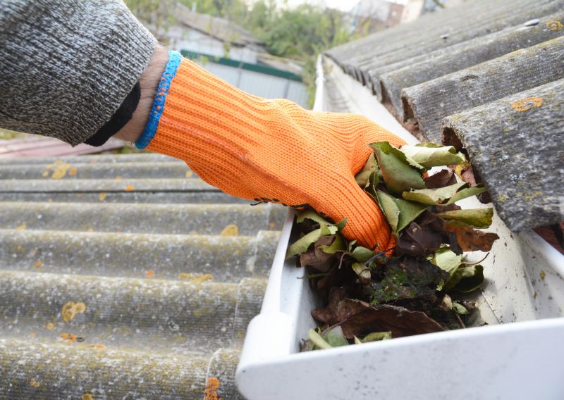 Gutter Leaves Removal in Richmond, VA