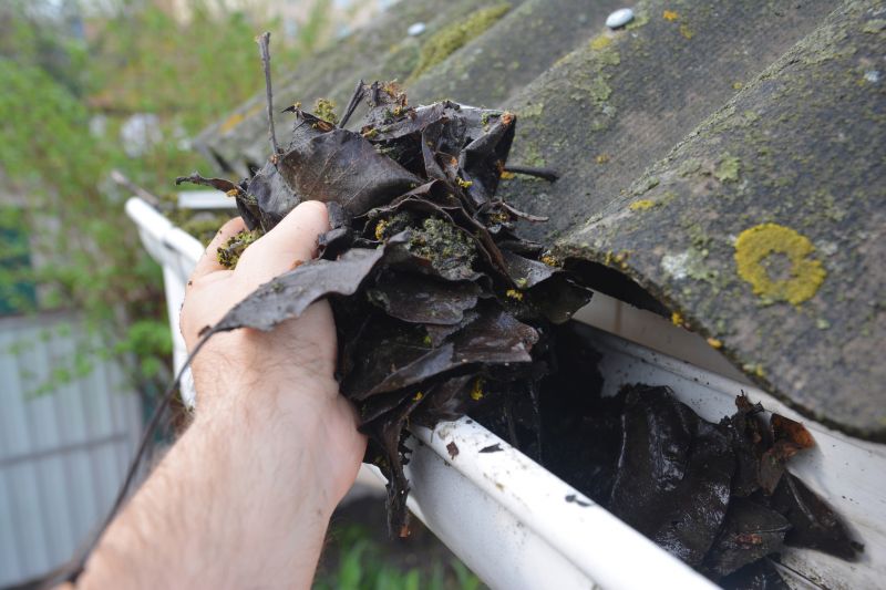 Gutter Pine Needle Removal in Westchester County, NY