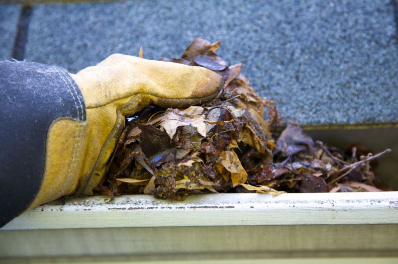 Rain Gutter Clearing in Fredericksburg, VA